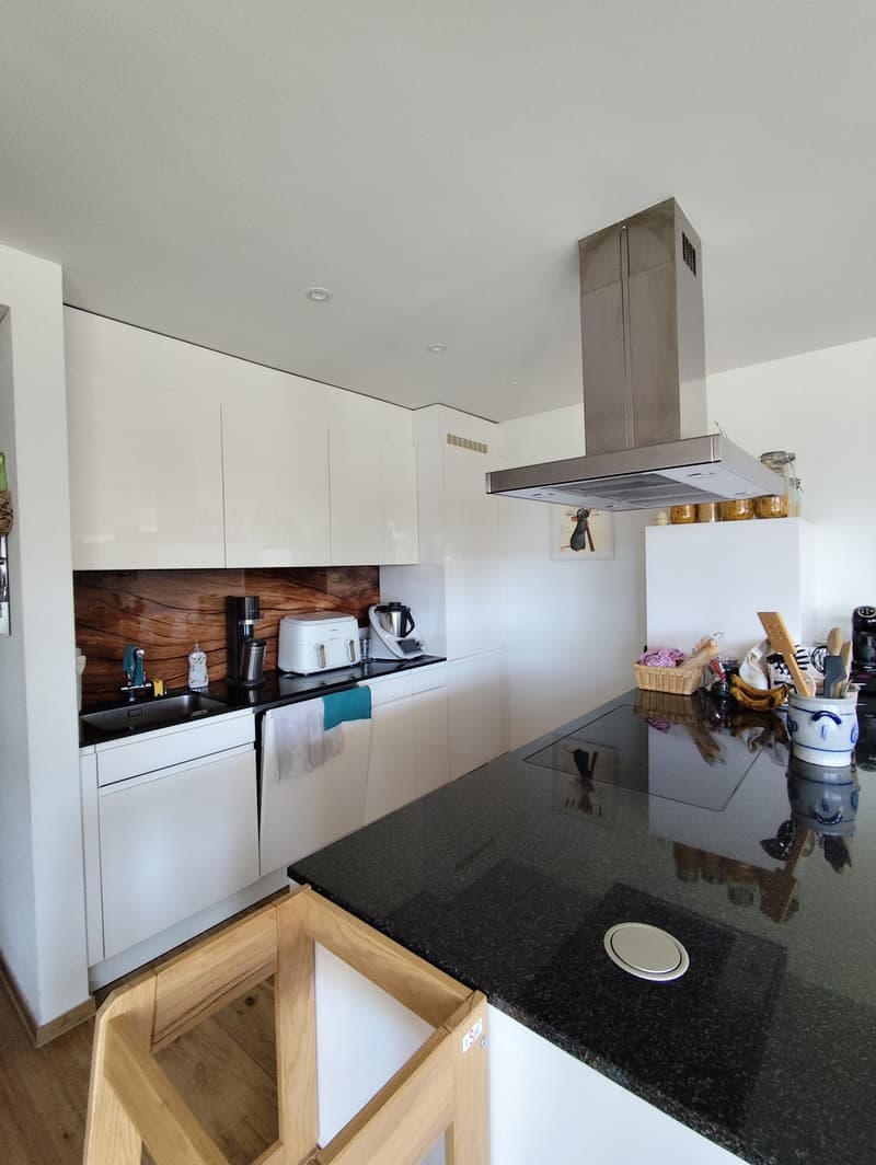 Modern and bright 4.5-room apartment (2)
