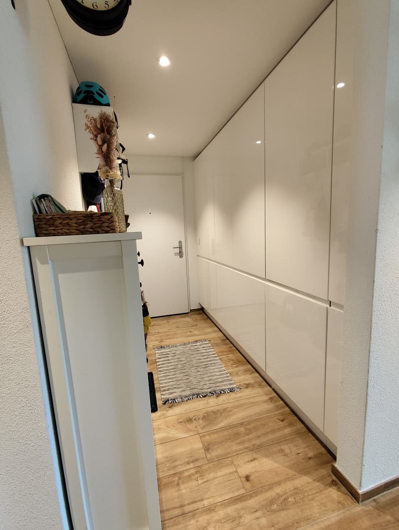 Modern and bright 4.5-room apartment (4)