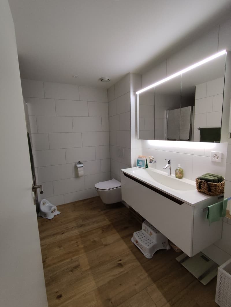 Modern and bright 4.5-room apartment (5)
