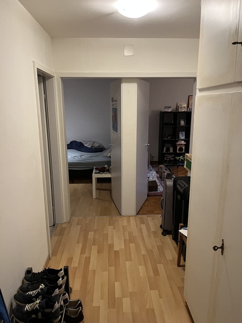 Helle 2-Zimmer-Wohnung mit Balkon im 4. Stock in Zürich Seebach / Bright 2-Room Apartment with Balcony on the 4th Floor in Zurich Seebach (2)
