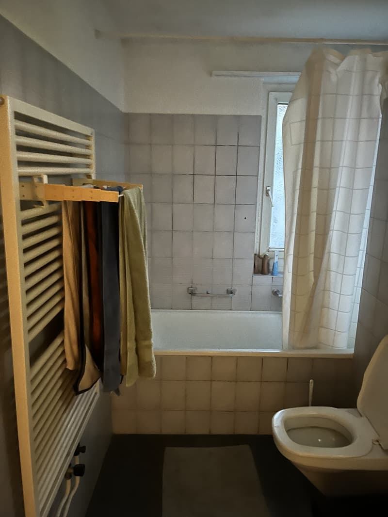 Helle 2-Zimmer-Wohnung mit Balkon im 4. Stock in Zürich Seebach / Bright 2-Room Apartment with Balcony on the 4th Floor in Zurich Seebach (3)