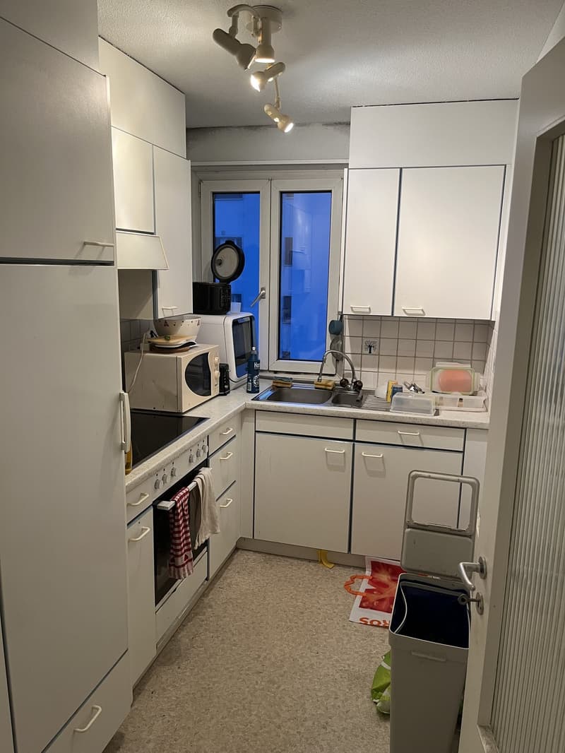Helle 2-Zimmer-Wohnung mit Balkon im 4. Stock in Zürich Seebach / Bright 2-Room Apartment with Balcony on the 4th Floor in Zurich Seebach (5)