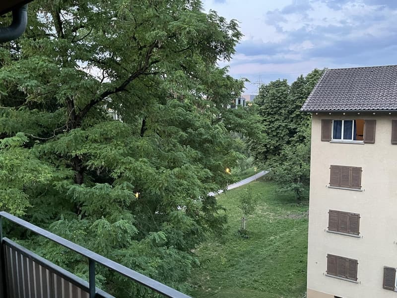 Helle 2-Zimmer-Wohnung mit Balkon im 4. Stock in Zürich Seebach / Bright 2-Room Apartment with Balcony on the 4th Floor in Zurich Seebach (9)