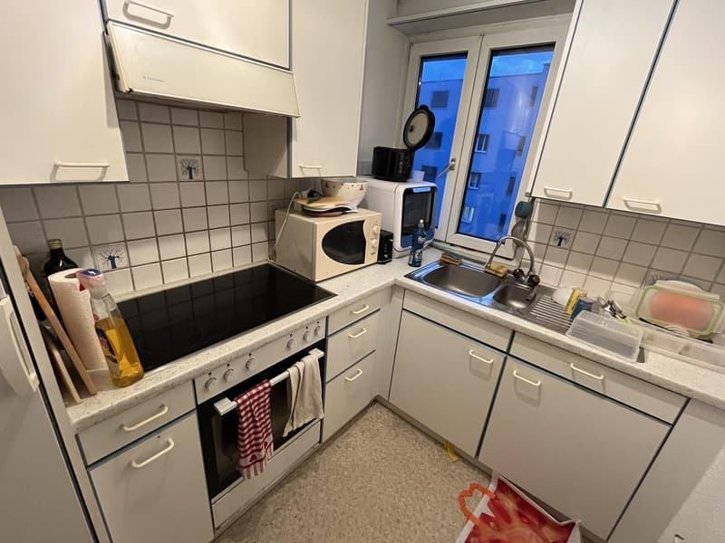 Helle 2-Zimmer-Wohnung mit Balkon im 4. Stock in Zürich Seebach / Bright 2-Room Apartment with Balcony on the 4th Floor in Zurich Seebach (6)