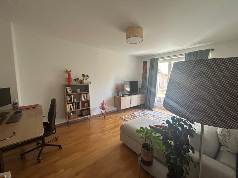 Appartement meublé de 2,5 pièces en sous-location avec option de reprise (2)