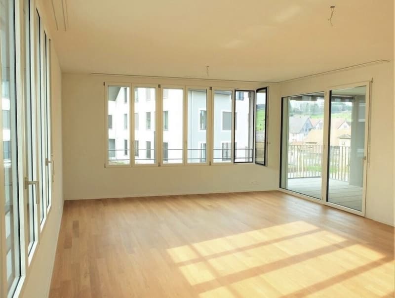 Appartamento luminoso 3.5 locali con giardino ad Aesch ZH 90 m², quieto e moderno (2)