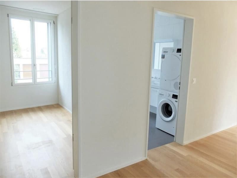 Appartamento luminoso 3.5 locali con giardino ad Aesch ZH 90 m², quieto e moderno (3)