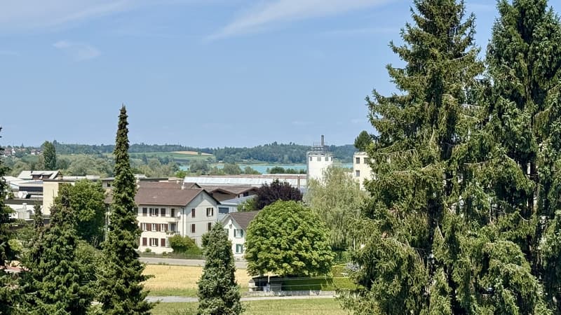 Appartement lumineux 3.5 pièces avec grand balcon (12)