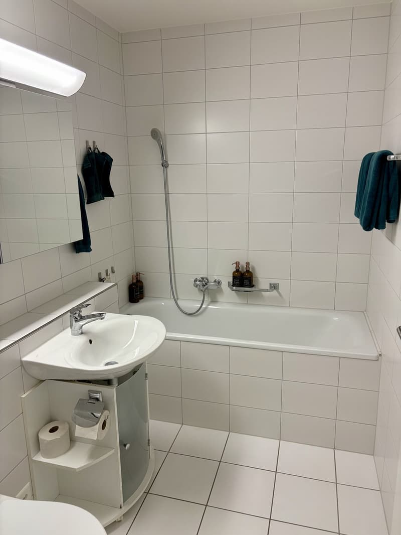 Appartement lumineux 3.5 pièces avec grand balcon (5)
