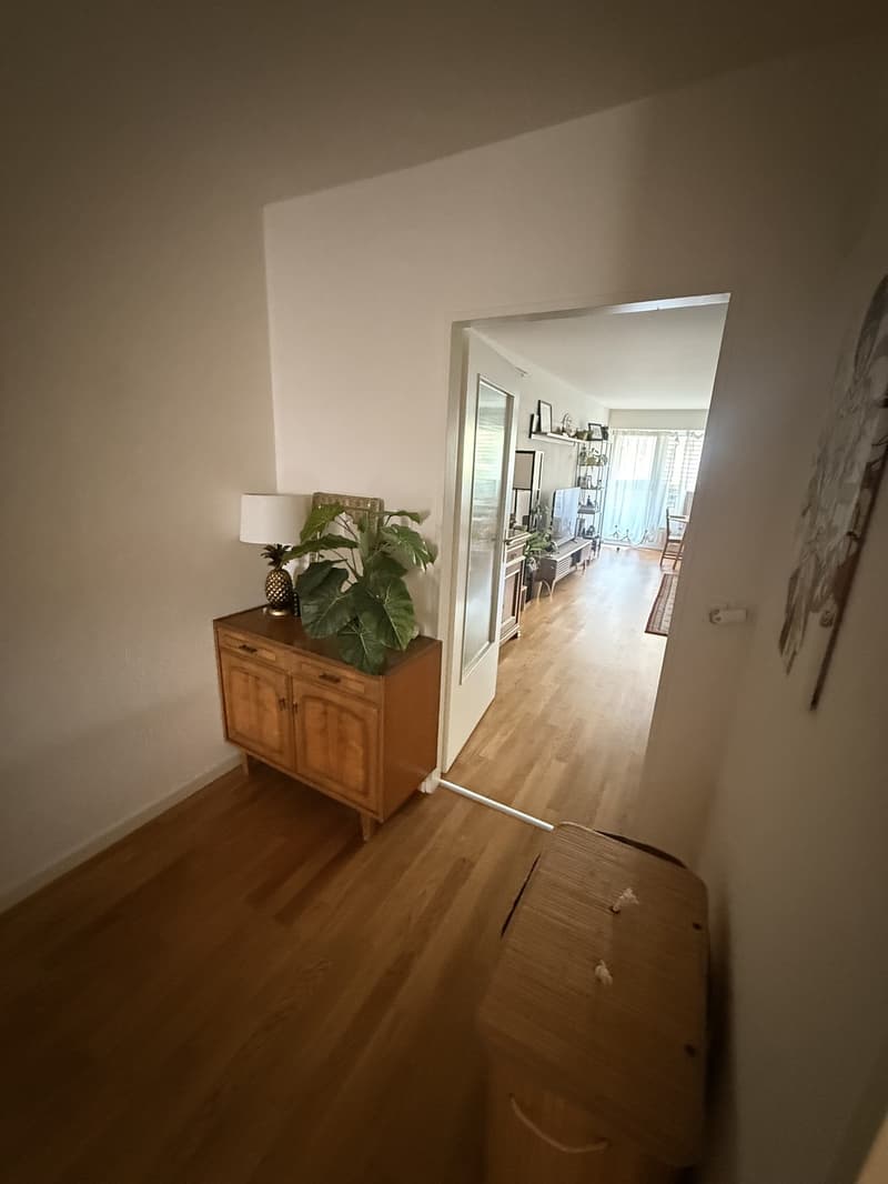 Fully furniture Apartment for the month of August (3)