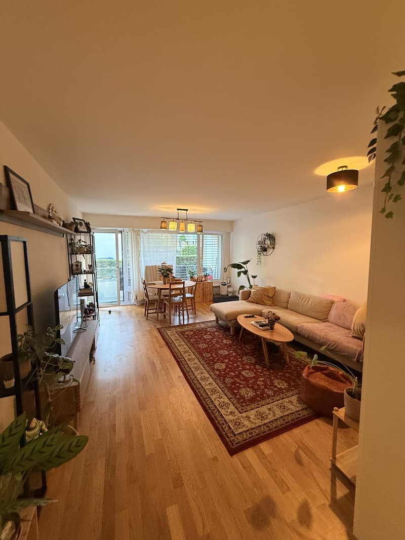 Fully furniture Apartment for the month of August (2)