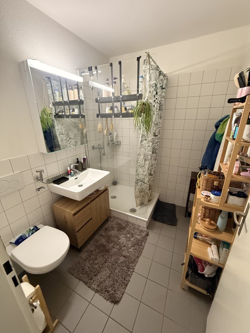 Fully furniture Apartment for the month of August (5)