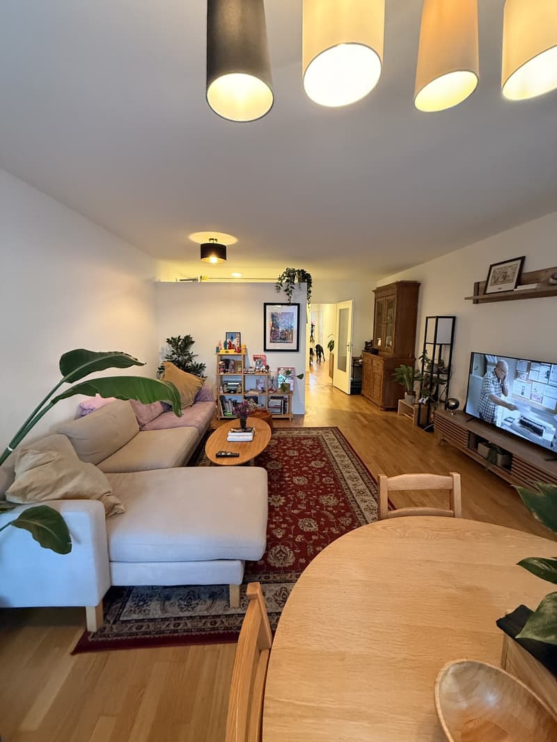 Fully furniture Apartment for the month of August (1)