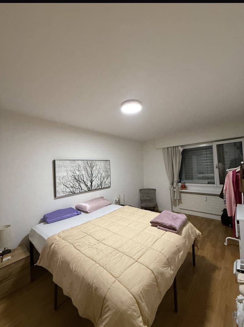Fully furniture Apartment for the month of August (4)