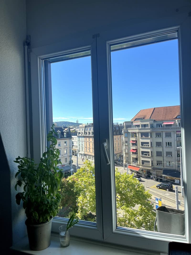 Cosy Furnished 3-Room Apartment with great Views (6)