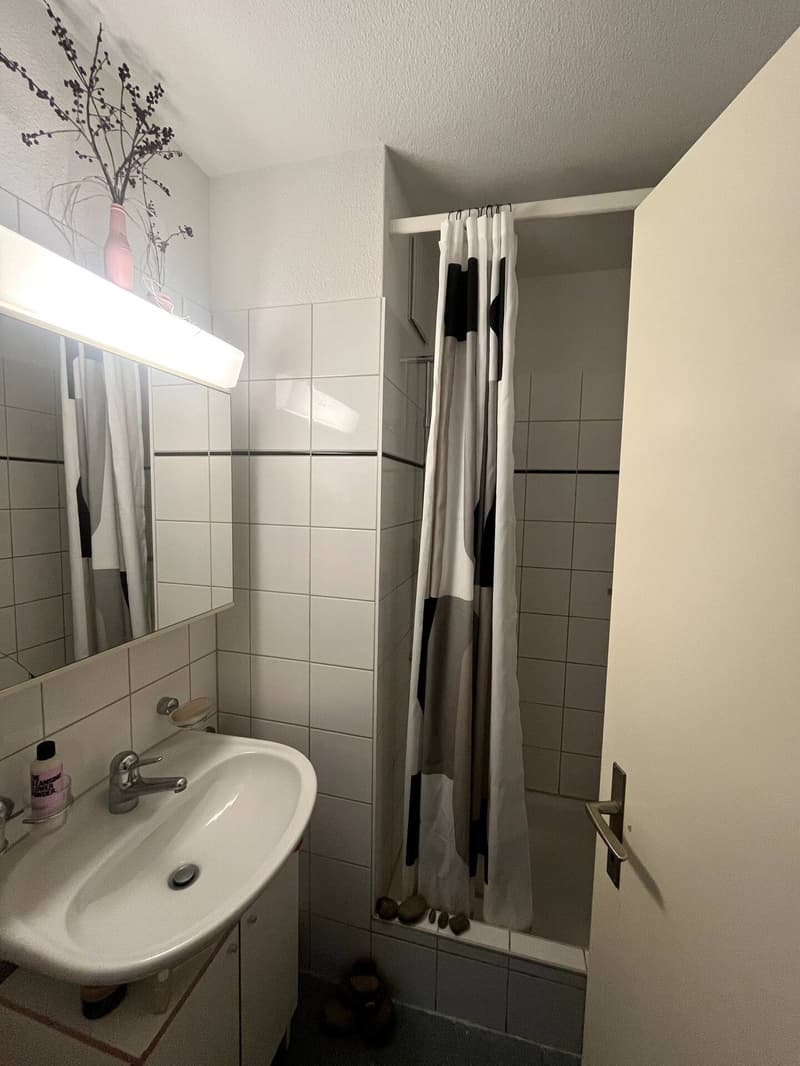 Cosy Furnished 3-Room Apartment with great Views (7)