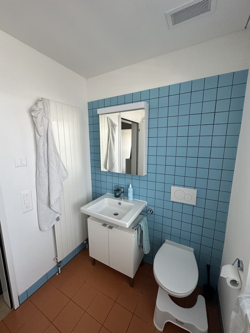 Modernes 3.5-Zimmer-Apartment in Dübendorf (Hochbord) Minergie-Standard, 2 Balkone, 2 Keller & Parkplatz (8)