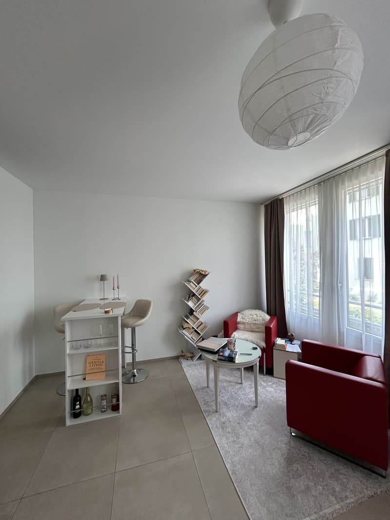 1,5 Appartement studio meublé moderne (3)