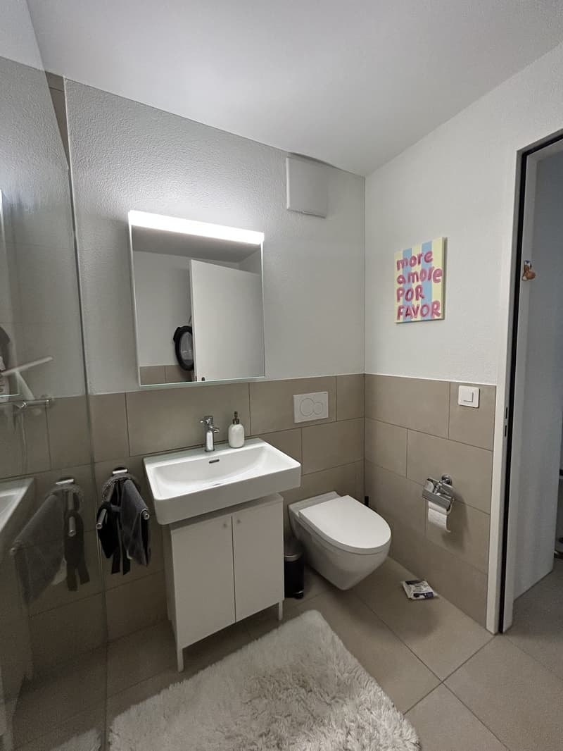 1,5 Appartement studio meublé moderne (7)