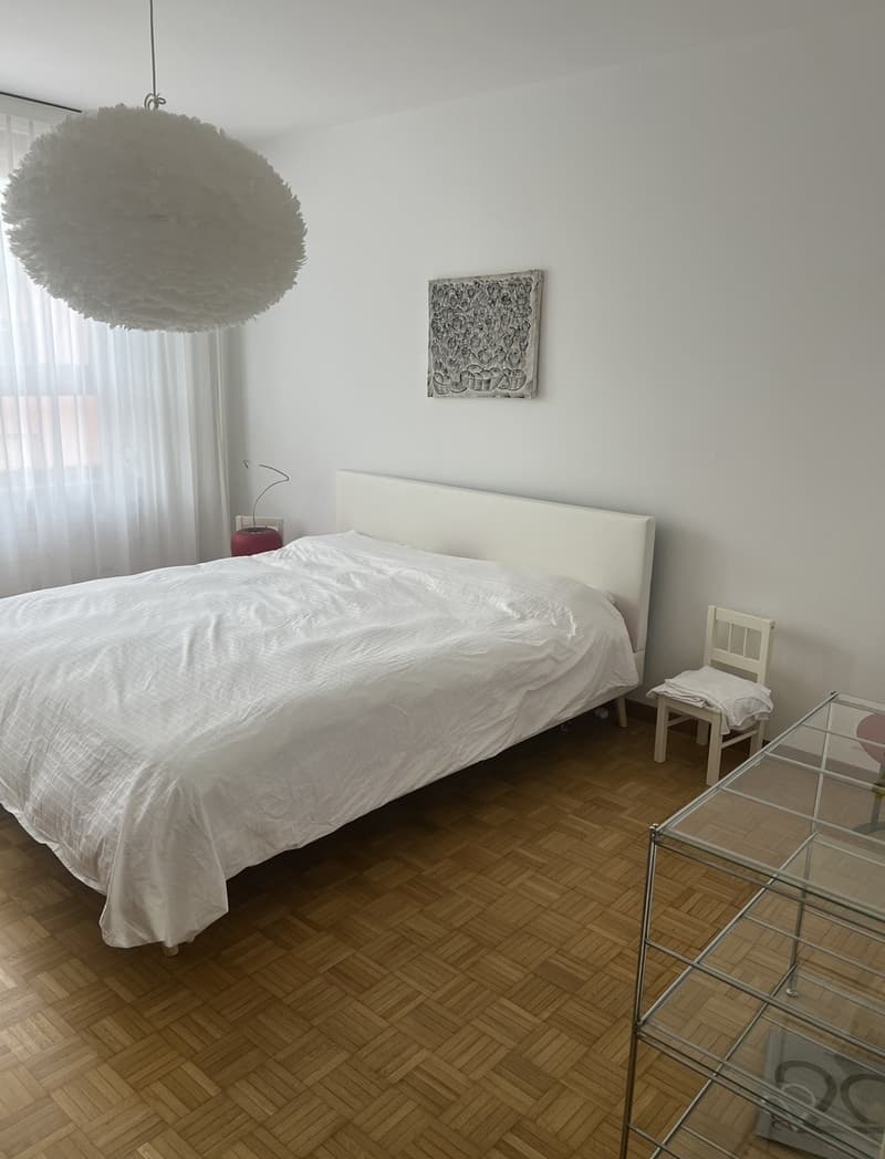 Top Floor Apartment in the Heart of Available from 1 September (1)