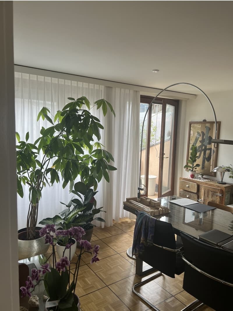 Top Floor Apartment in the Heart of Available from 1 September (6)