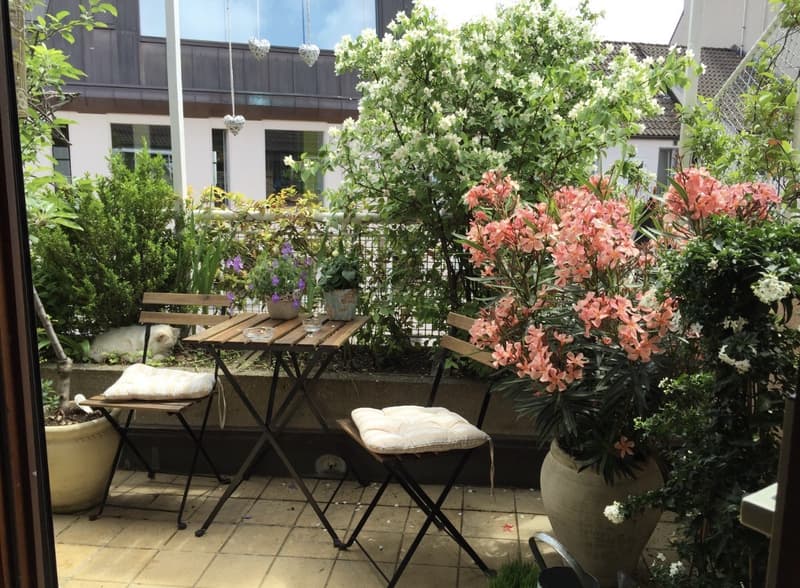 Top Floor Apartment in the Heart of Available from 1 September (2)