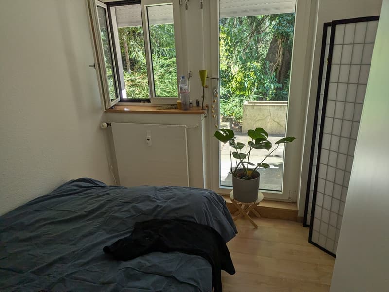 Appartement cosy avec terrasse verte ensoleillée (5)