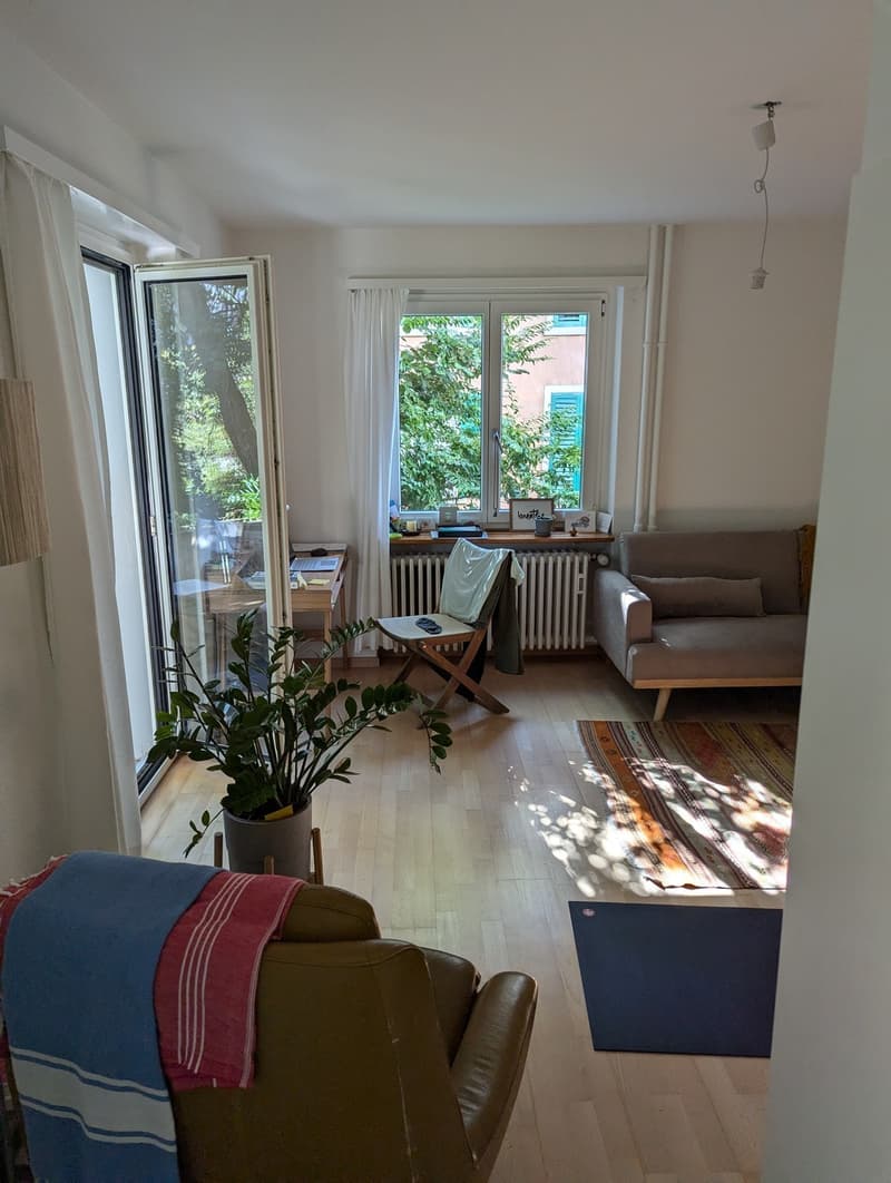 Appartement cosy avec terrasse verte ensoleillée (3)