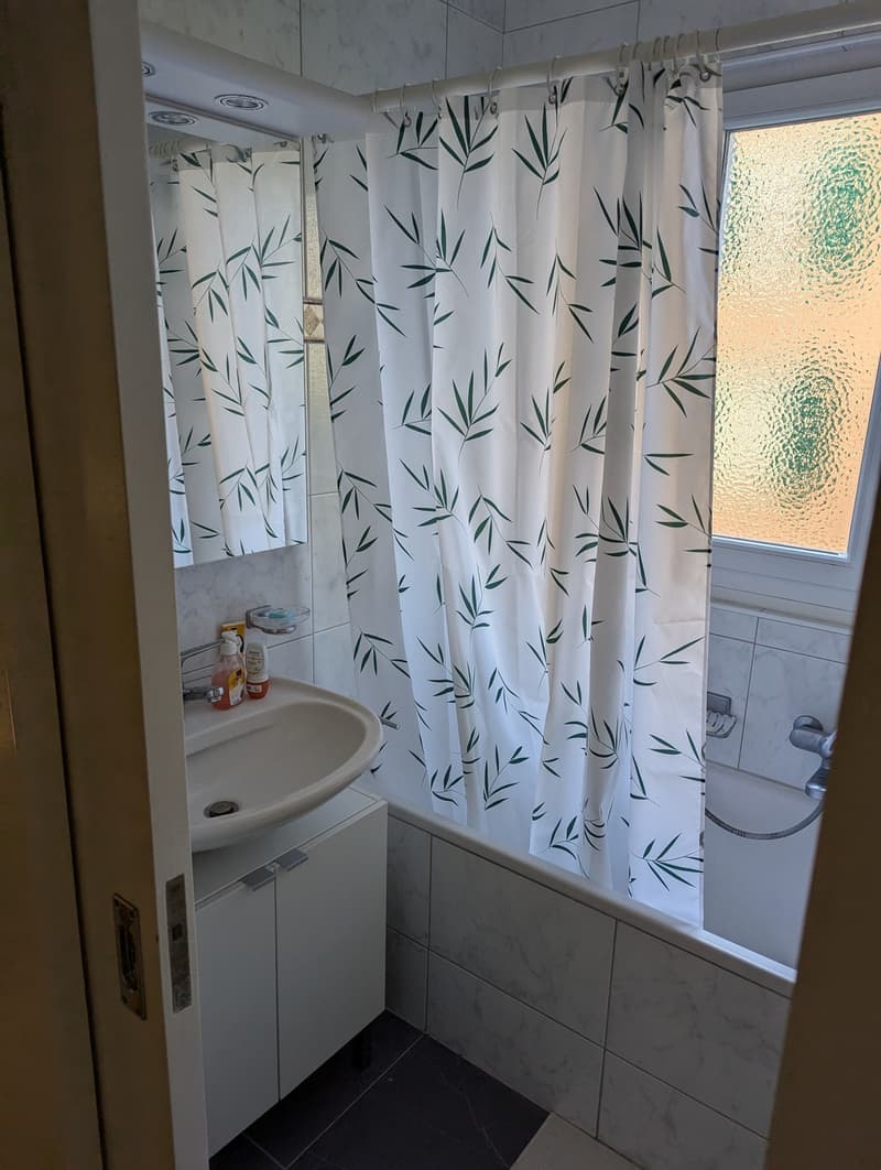 Appartement cosy avec terrasse verte ensoleillée (12)