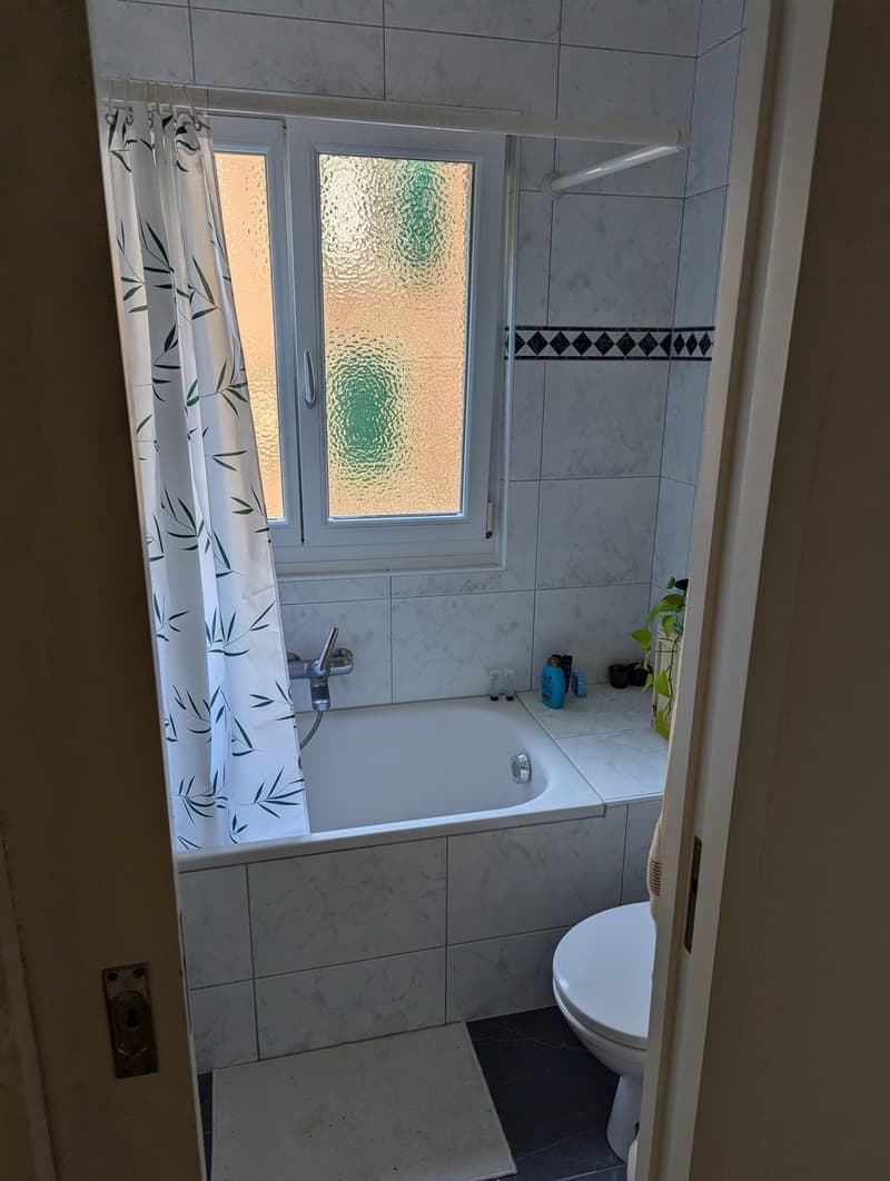 Appartement cosy avec terrasse verte ensoleillée (11)