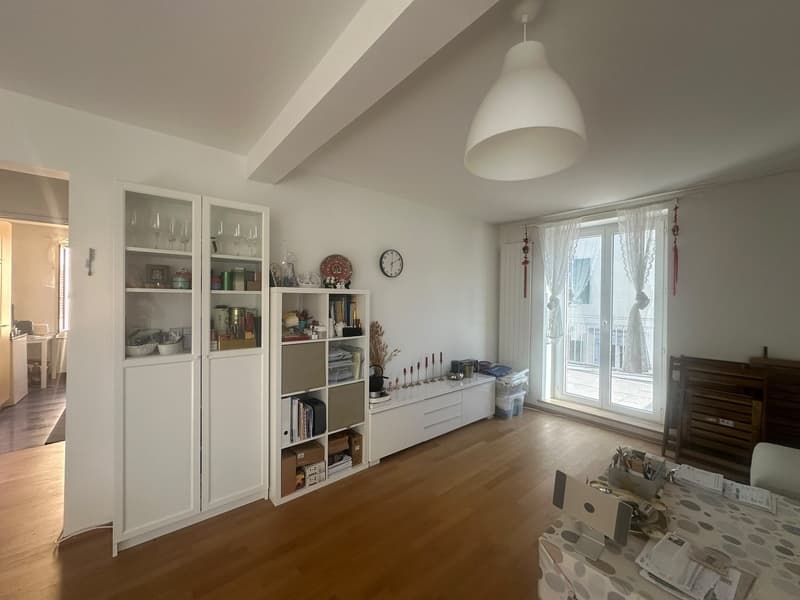 Möblierte 3-Zimmer-Wohnung, Birchstrasse 20, 8057 Zürich (2)