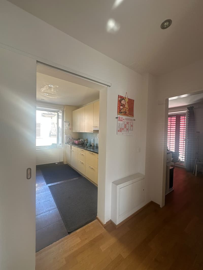 Möblierte 3-Zimmer-Wohnung, Birchstrasse 20, 8057 Zürich (3)