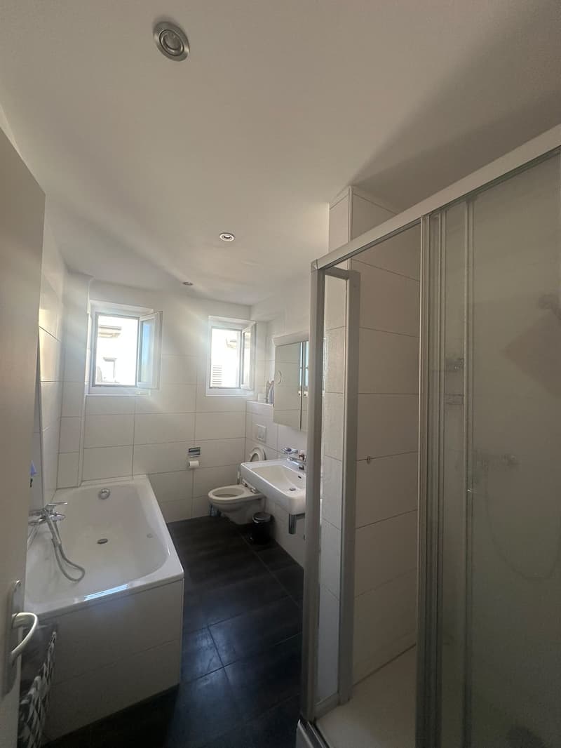 Möblierte 3-Zimmer-Wohnung, Birchstrasse 20, 8057 Zürich (10)