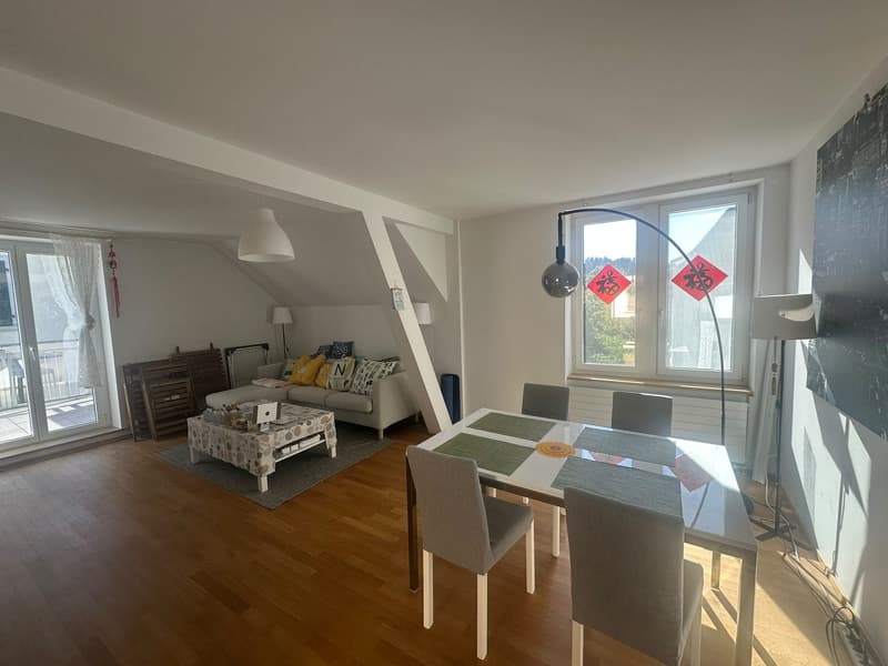 Möblierte 3-Zimmer-Wohnung, Birchstrasse 20, 8057 Zürich (5)