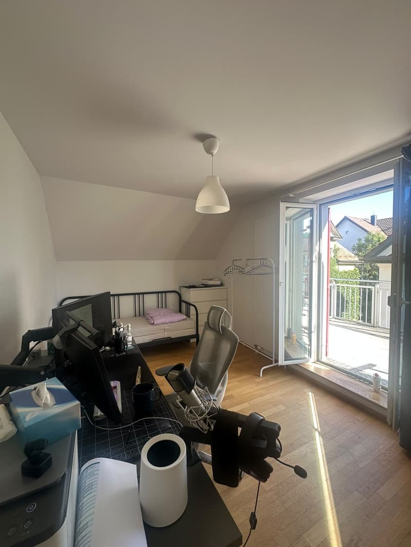 Möblierte 3-Zimmer-Wohnung, Birchstrasse 20, 8057 Zürich (11)