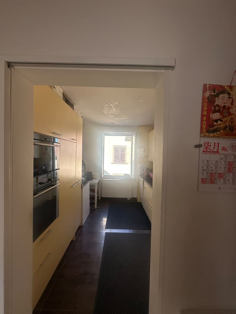 Möblierte 3-Zimmer-Wohnung, Birchstrasse 20, 8057 Zürich (7)