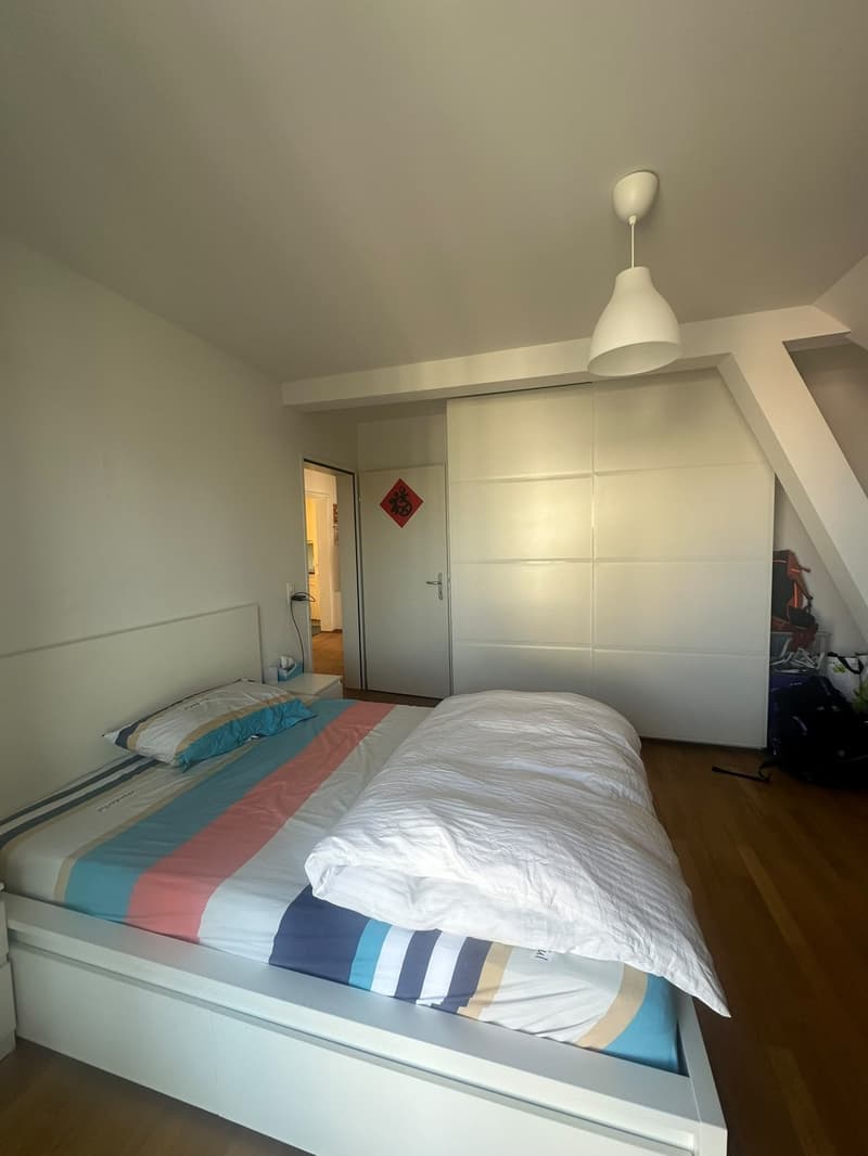 Möblierte 3-Zimmer-Wohnung, Birchstrasse 20, 8057 Zürich (1)