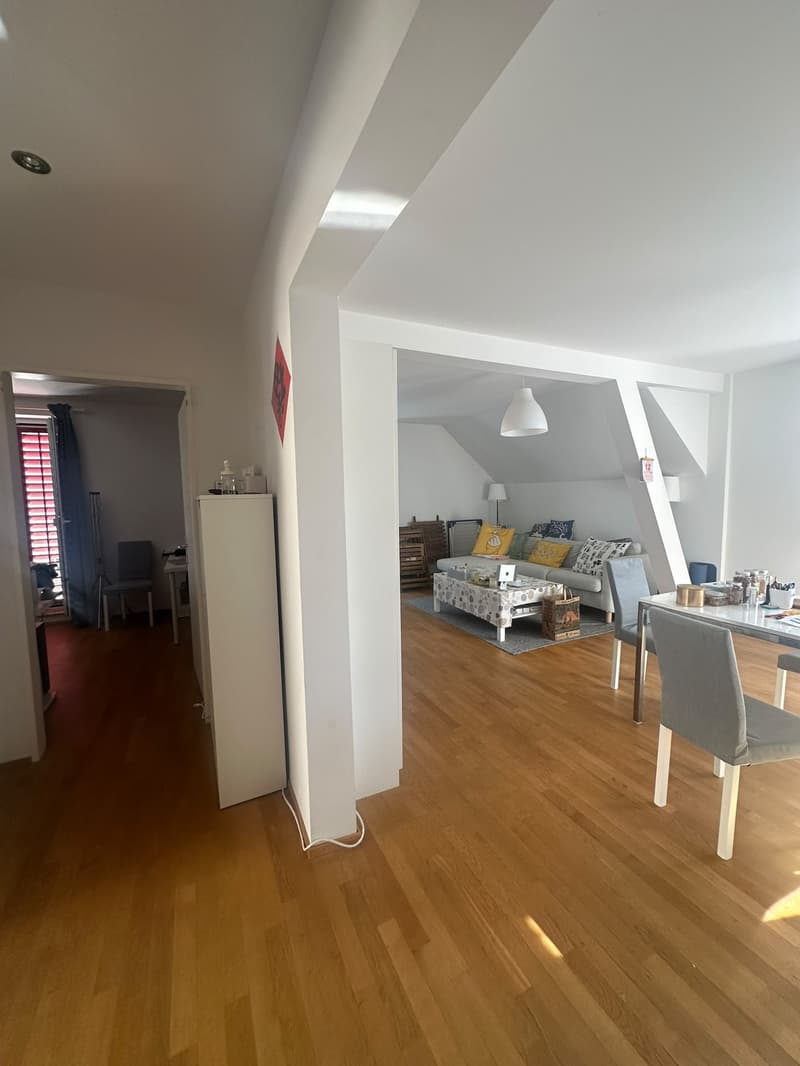 Möblierte 3-Zimmer-Wohnung, Birchstrasse 20, 8057 Zürich (9)