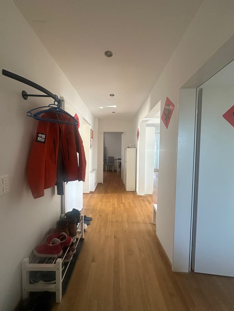 Möblierte 3-Zimmer-Wohnung, Birchstrasse 20, 8057 Zürich (13)