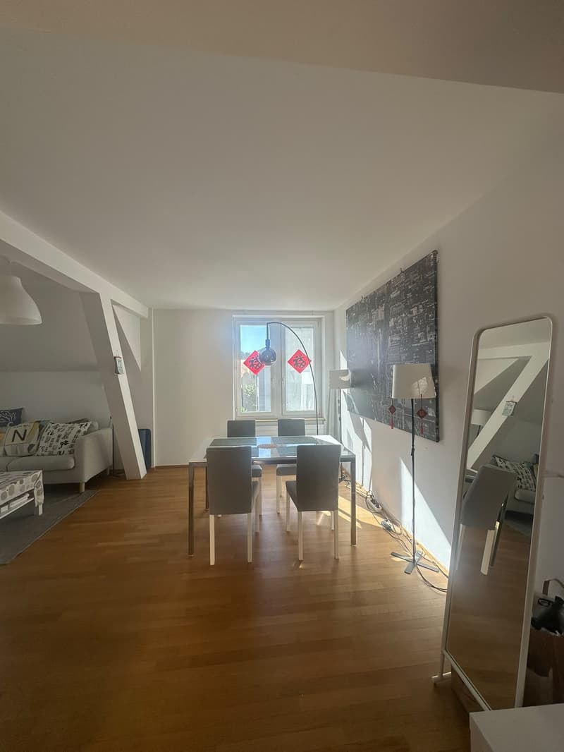 Möblierte 3-Zimmer-Wohnung, Birchstrasse 20, 8057 Zürich (12)