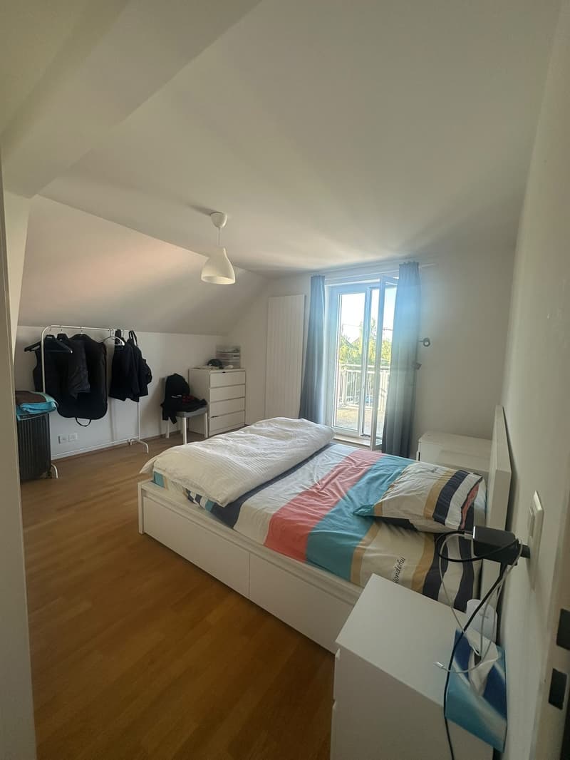 Möblierte 3-Zimmer-Wohnung, Birchstrasse 20, 8057 Zürich (8)