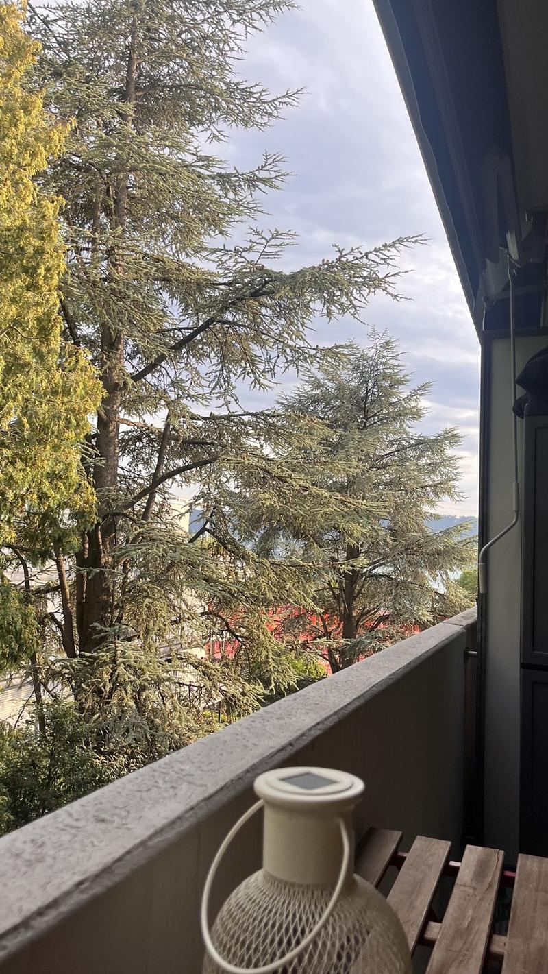 Appartamento luminoso & moderno di 1,5 locali con balcone, a 2 minuti dalla stazione di Tiefenbrunnen (9)