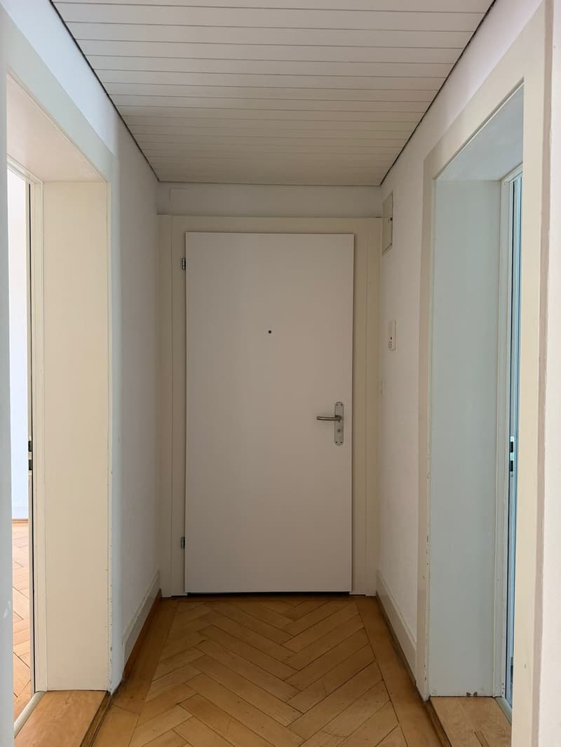 Charmante 3-Zimmer-Wohnung im Kreis 6 (12)
