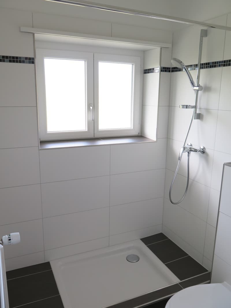 Steuergünstig, unbefr. -- moderne, helle 2.5 Zi-Whg / low-tax, unlim. -- modern, sunny 2.5 rm apt (5)