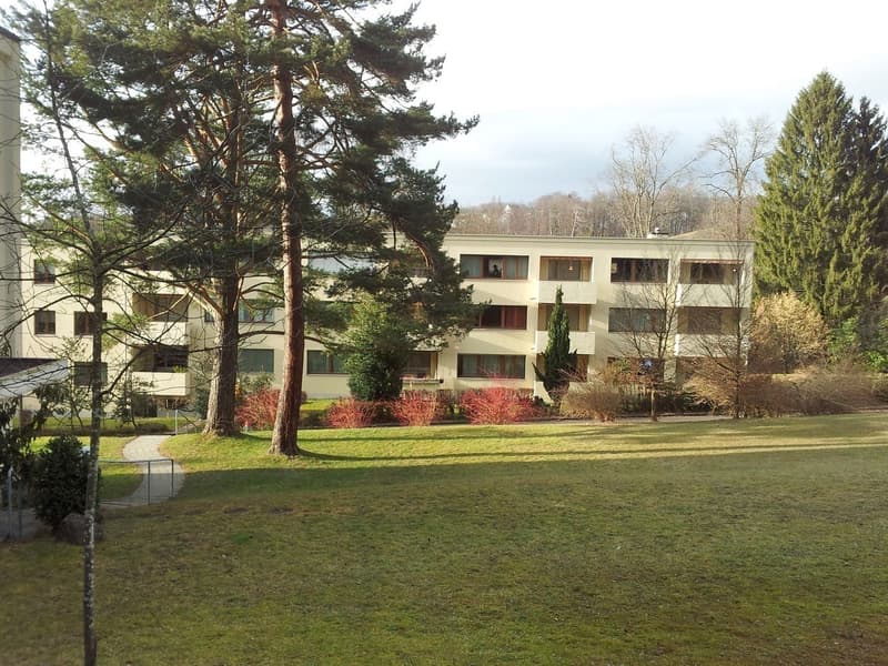 Steuergünstig, unbefr. -- moderne, helle 2.5 Zi-Whg / low-tax, unlim. -- modern, sunny 2.5 rm apt (7)