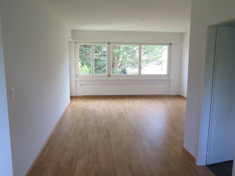 Steuergünstig, unbefr. -- moderne, helle 2.5 Zi-Whg / low-tax, unlim. -- modern, sunny 2.5 rm apt (2)
