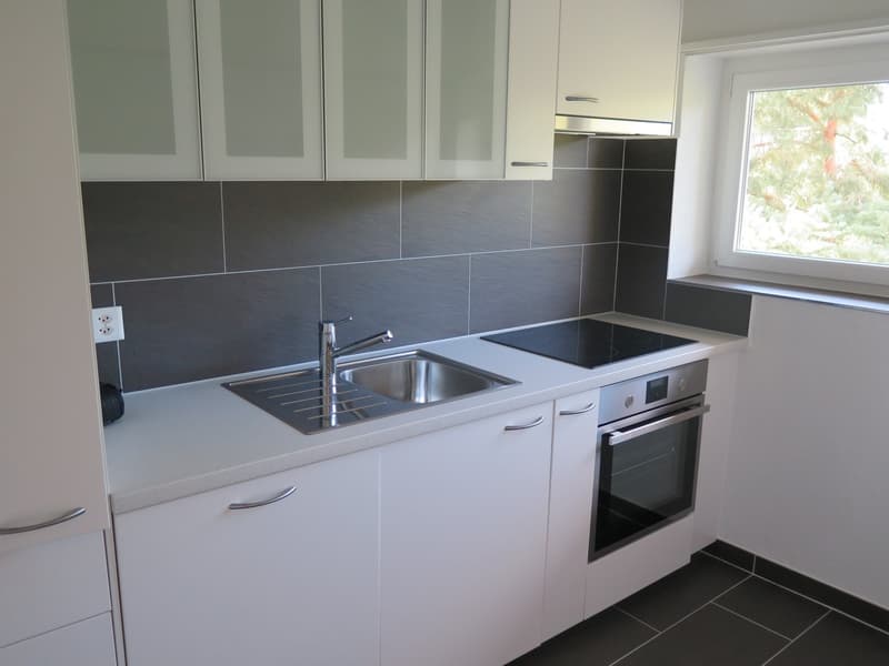 Steuergünstig, unbefr. -- moderne, helle 2.5 Zi-Whg / low-tax, unlim. -- modern, sunny 2.5 rm apt (1)