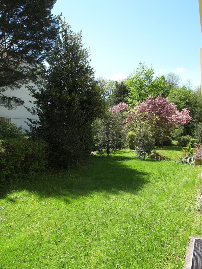 Steuergünstig, unbefr. -- moderne, helle 2.5 Zi-Whg / low-tax, unlim. -- modern, sunny 2.5 rm apt (9)