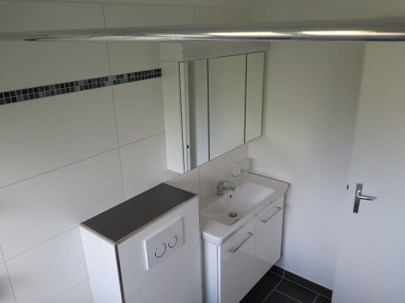 Steuergünstig, unbefr. -- moderne, helle 2.5 Zi-Whg / low-tax, unlim. -- modern, sunny 2.5 rm apt (6)