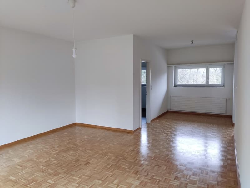 Steuergünstig, unbefr. -- moderne, helle 2.5 Zi-Whg / low-tax, unlim. -- modern, sunny 2.5 rm apt (3)